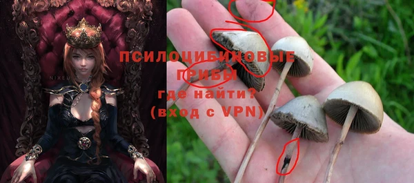 каннабис Верея
