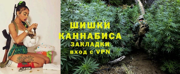 трава Бронницы