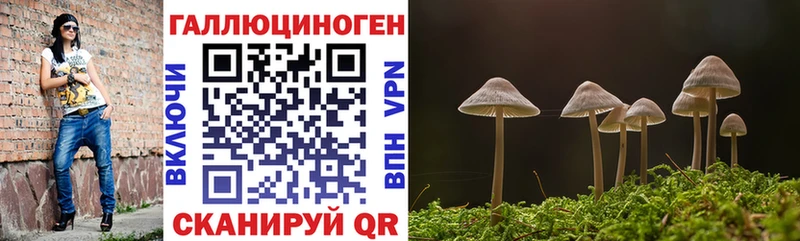 купить наркотики сайты  Кстово  Псилоцибиновые грибы прущие грибы 