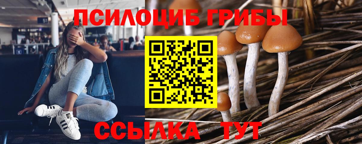 Галлюциногенные грибы Magic Shrooms Кстово