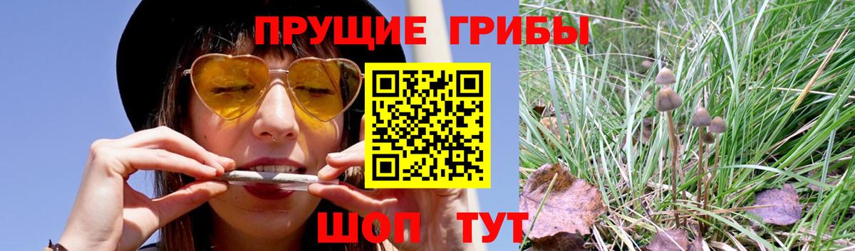 Галлюциногенные грибы MAGIC MUSHROOMS  Вход с VPN  цены   Кстово 